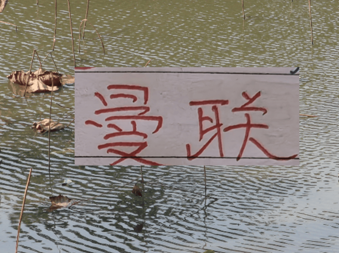 有排面！U23國足上了《新聞聯播》 曼聯B費再次入選英超單輪MVP